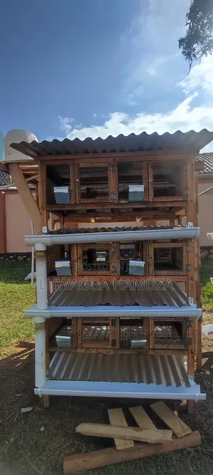 Rabbit Cages