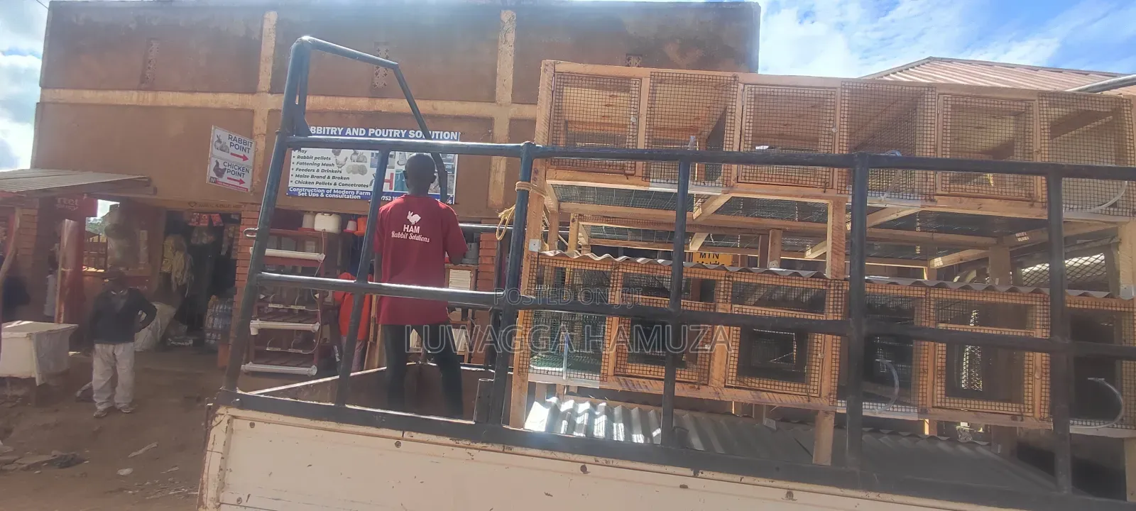Rabbit Cages