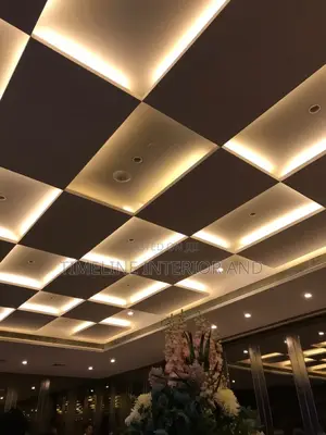 Gypsum Ceilings and Special Designing