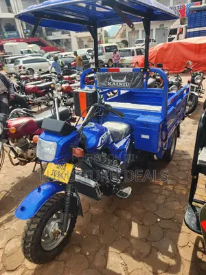 New Tricycle 2025 Blue