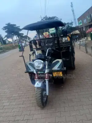 Tricycle Ihemas 2024 Green