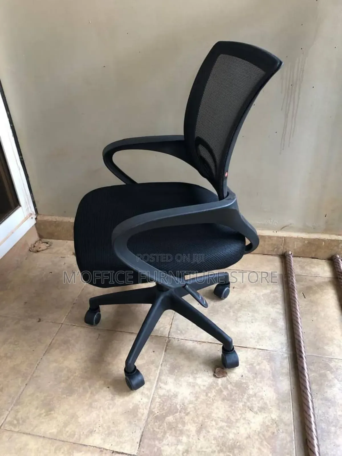 Your Back's New Best Friend