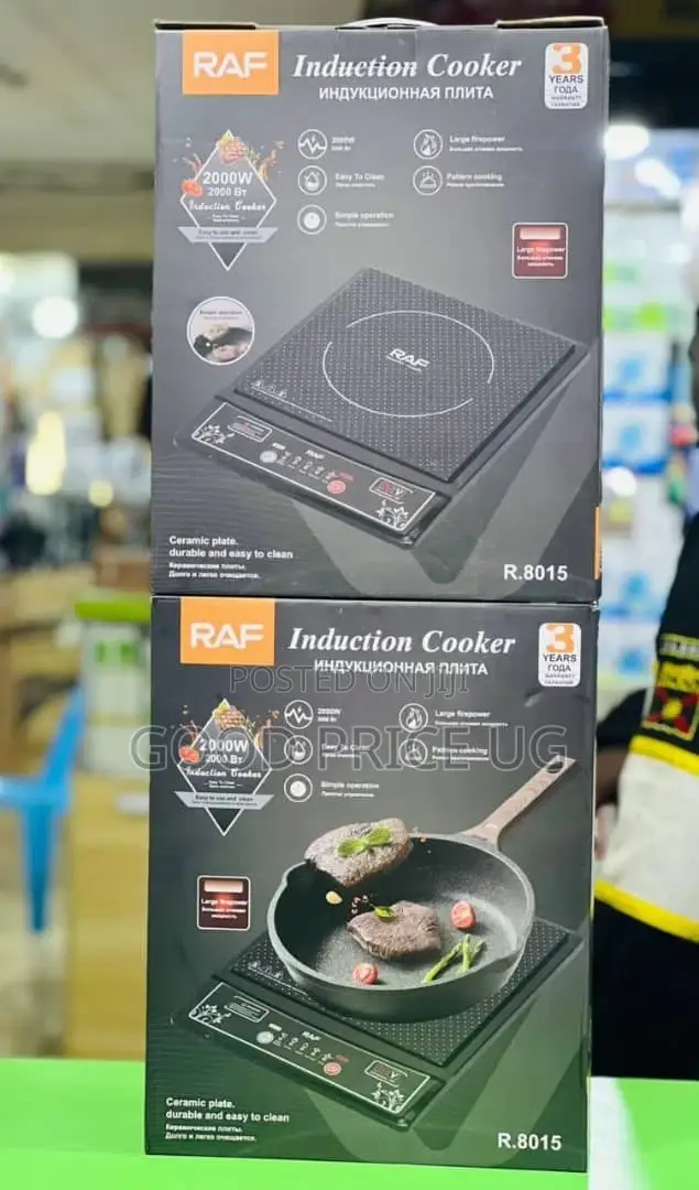 Raf Induction Cooker R.8015