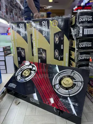 Caston 2-Burner Gas Stove.