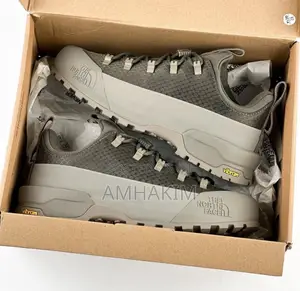 Classic North Face Glynch Life Gray in Stock