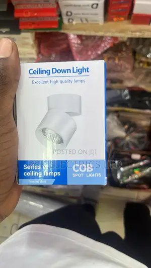 Ceiling Down Light