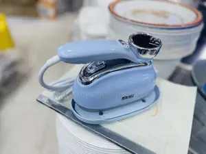 DSP Quality Min Steamer Iron