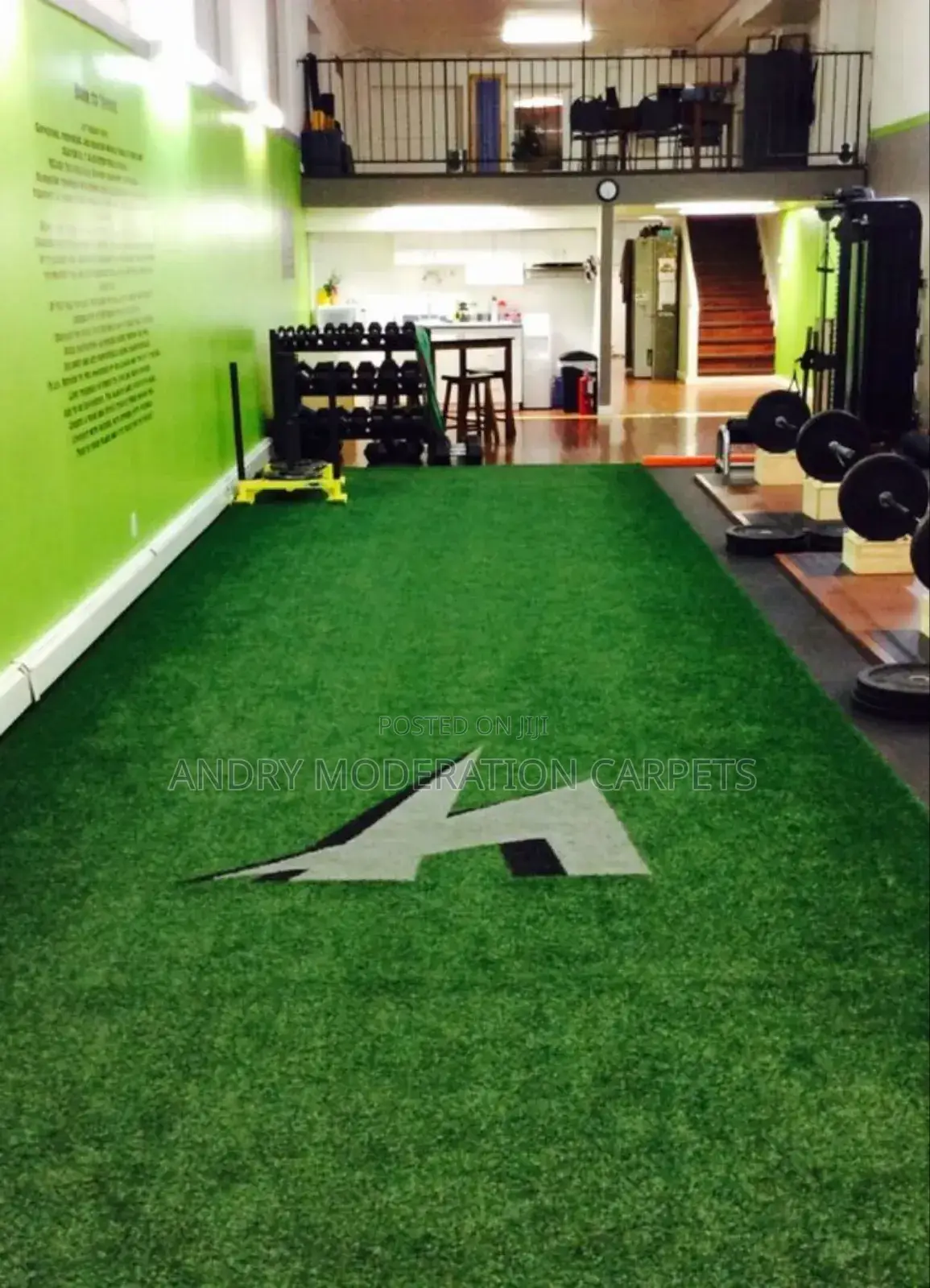 Exercise Arftical Grass Carpet