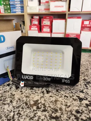 30 Watts Flood Light for Lucid