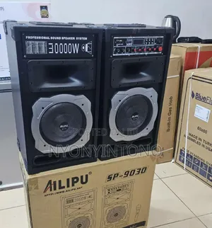 Aliquippa Double Professional Sound Speaker System T