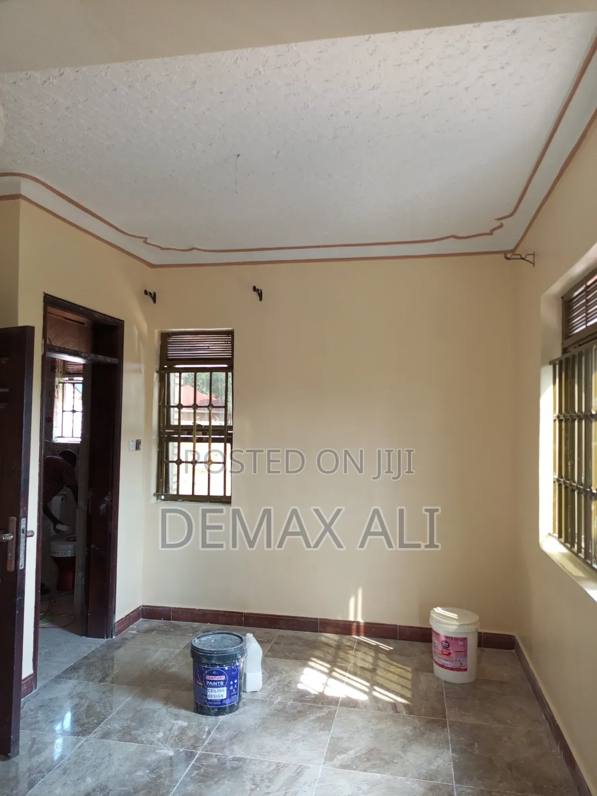Vynl Silk Paint