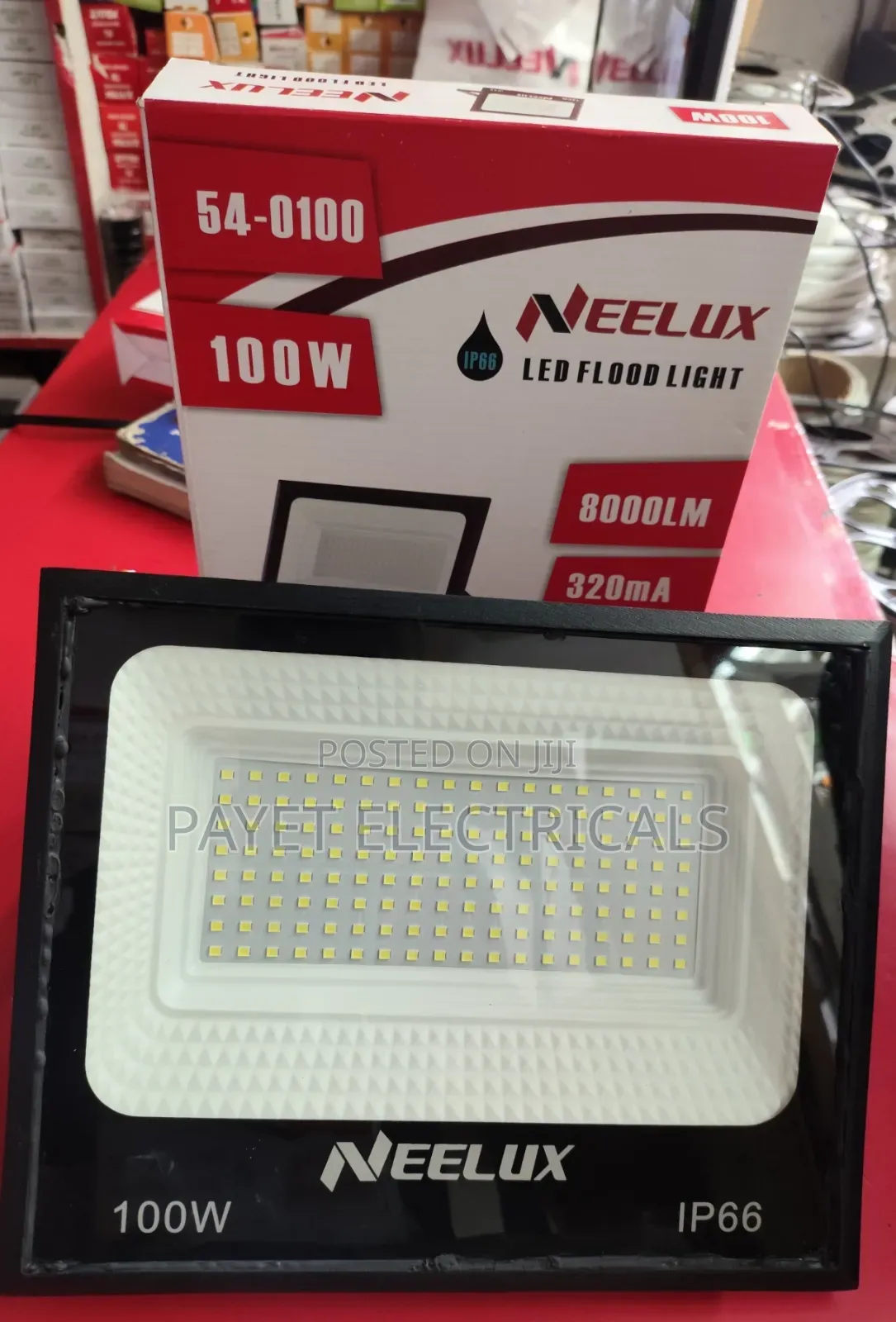 100 Watts Flood Light