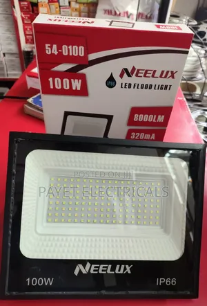 100 Watts Flood Light
