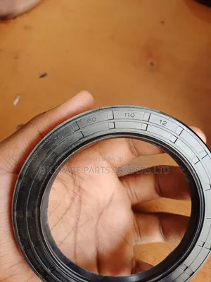 Bearings Oil Seals