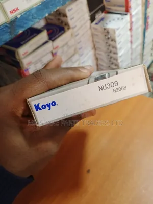 Bearings Oil Seals