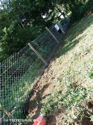 Treated Poles Chain Link Fencing
