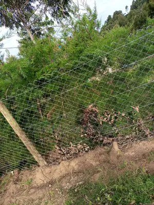 Treated Poles Chain Link Fencing