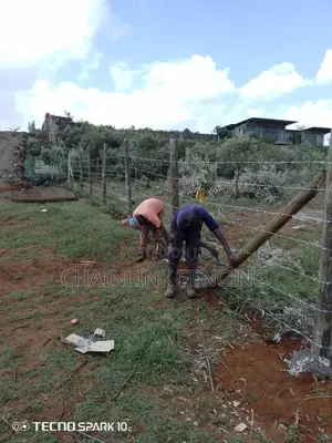 Treated Poles Barbered Wire Fencing