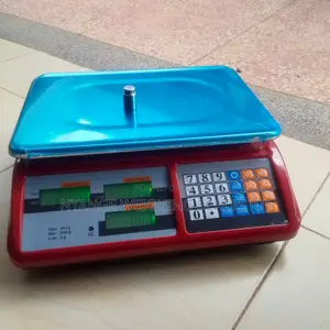 Food Weighing Scale for Kitchen Use Weigh 40kg Digital Weighing Scale