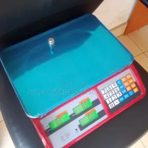 Digital Weighing Scale Multifunction Weigh Food Fruits Weighing Scale