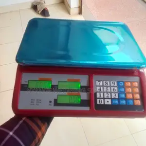 Abs Red Digital Weighing Scale Food 40kg Weigh Digital Weighing Scale