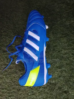 Adidas Shoes for Sports