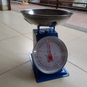 Best Place to Buy Weigh Scale Mechanical Weigh 20kg Weighing Scales