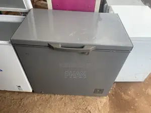 Deep Freezer With Strong Compressor and Body