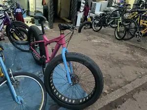 Pink Big Rim Bicycle