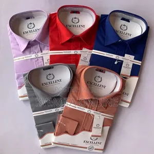 Excellent Classic Long Sleeve Basic Dress Office Plain Shirt