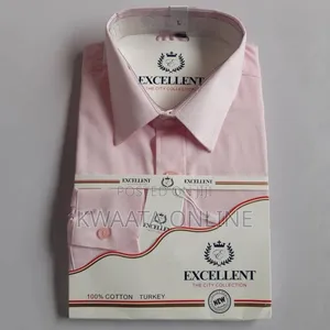 Excellent Classic Long Sleeve Basic Dress Office Plain Shirt