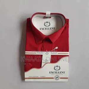 Excellent Classic Long Sleeve Basic Dress Office Plain Shirt