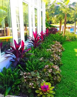 Apartment Compound Designing