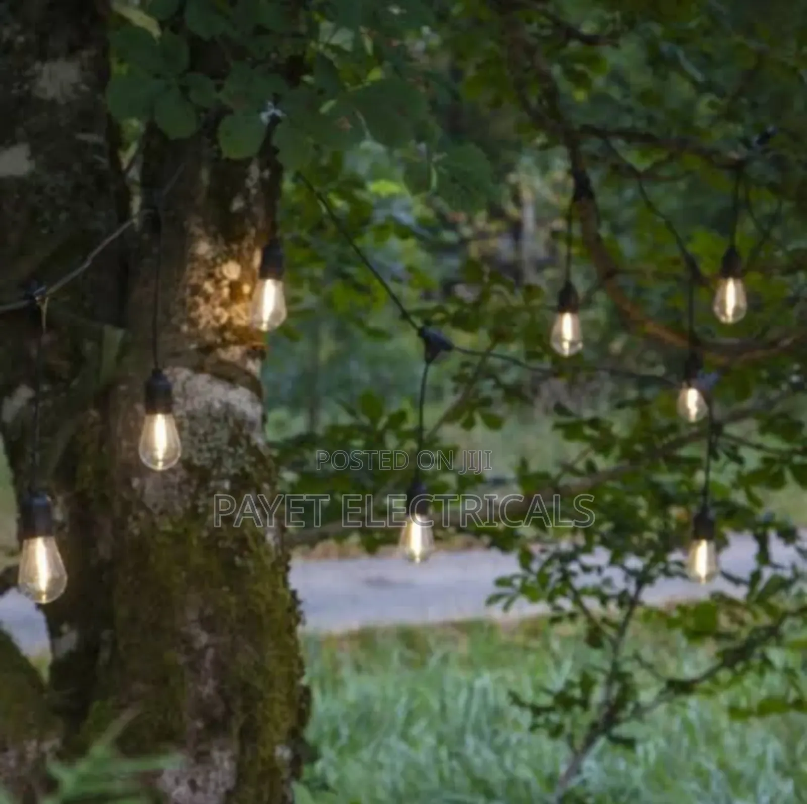 Water Proof String Lights With Hanging Bulbs