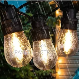 Water Proof String Lights With Hanging Bulbs