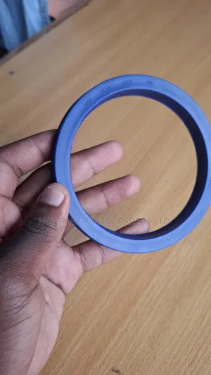 Hydraulic Seals