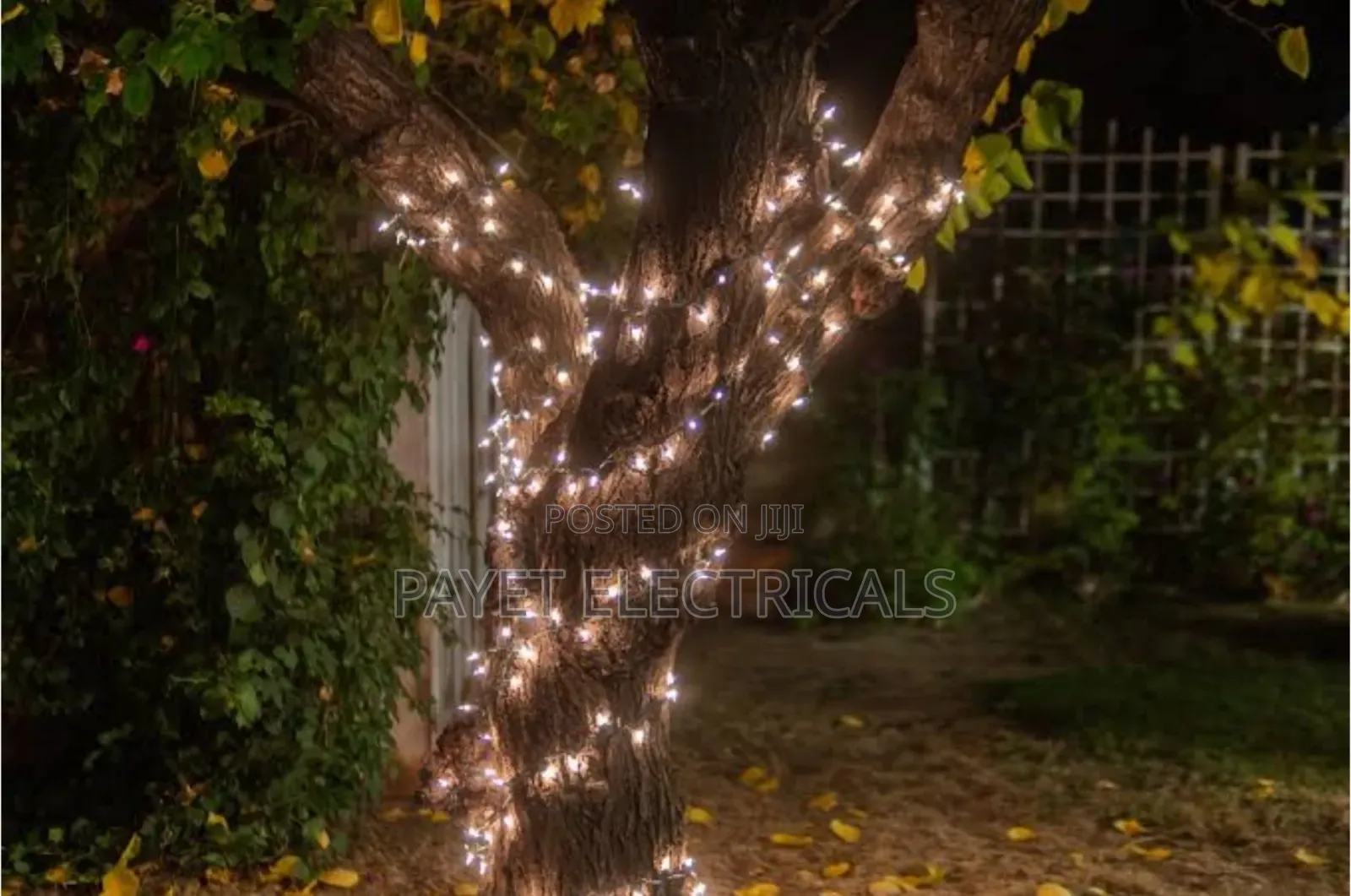 Tree Decoration String Light 50 Meters