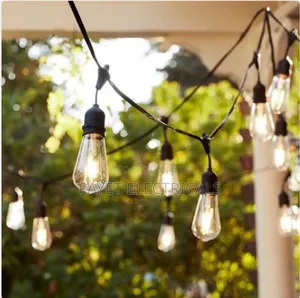 Outdoor Decoration Light/ Garden Light for 10 Meters