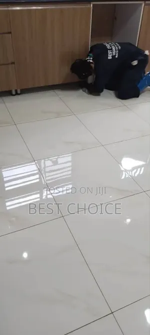 Professional Cleaning for a Bright Shine.
