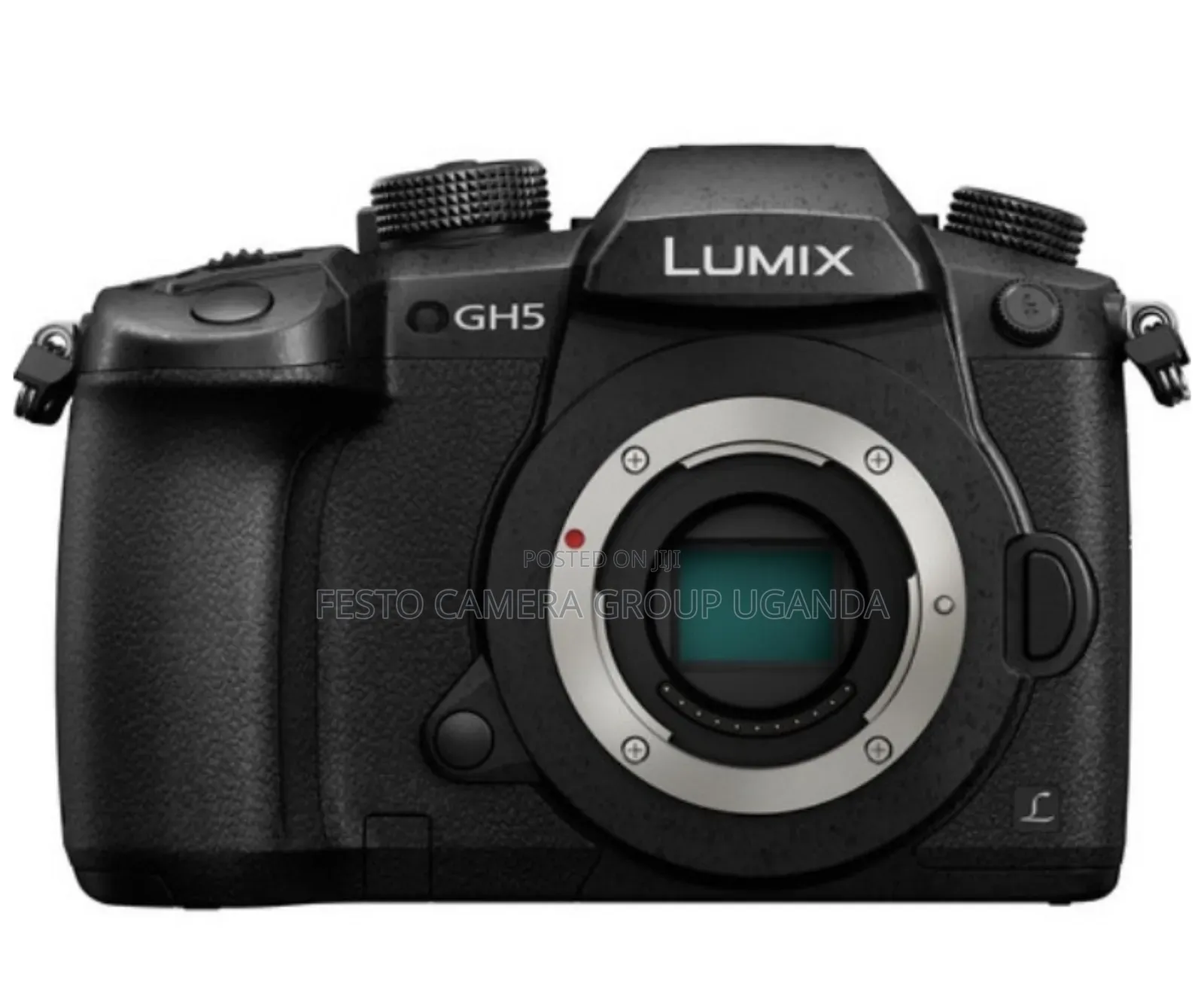 Panasonic Lumix Gh5 Mirrorless Camera