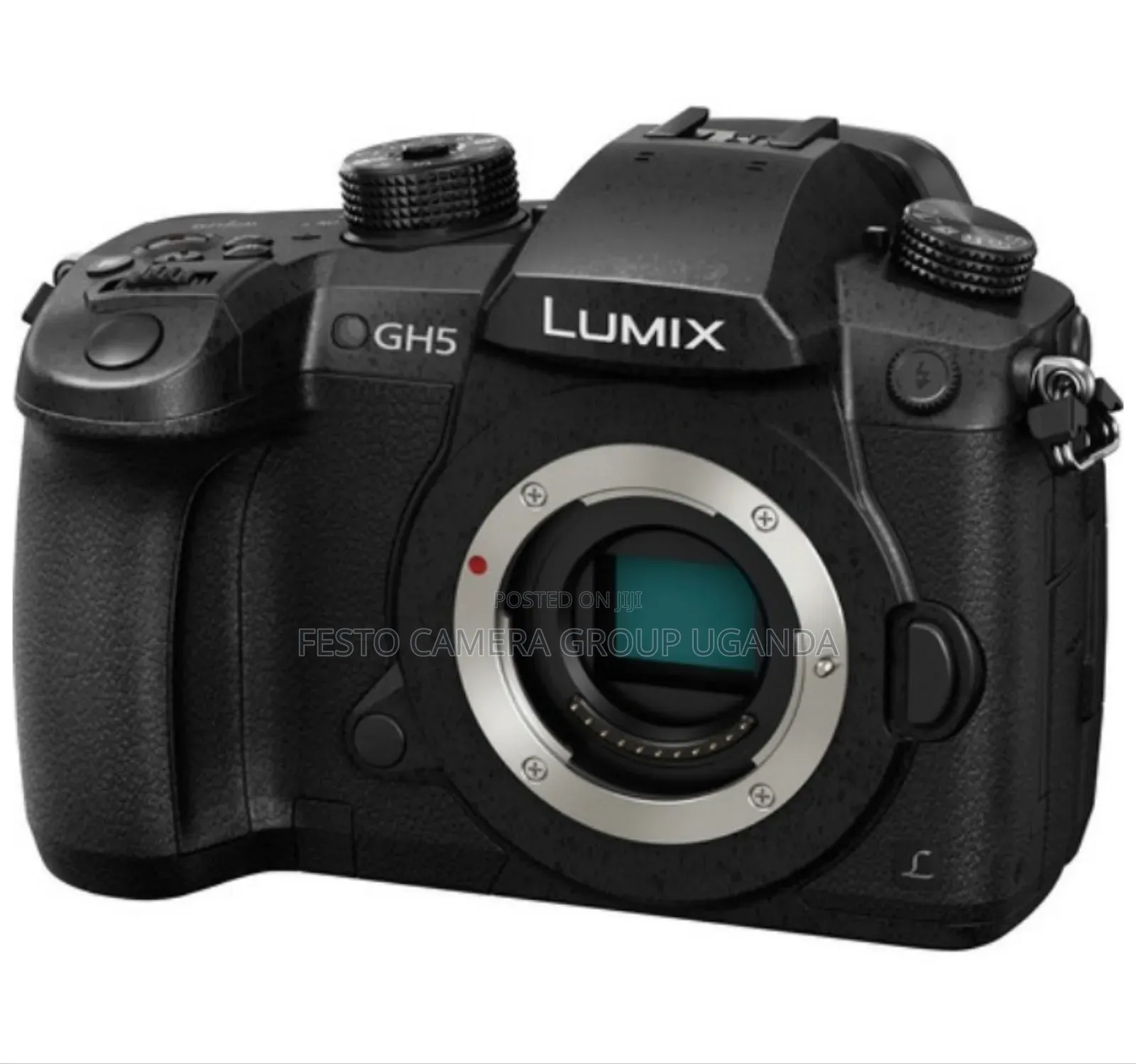 Panasonic Lumix Gh5 Mirrorless Camera