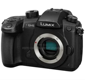Panasonic Lumix Gh5 Mirrorless Camera