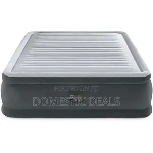 Intex Air Mattress