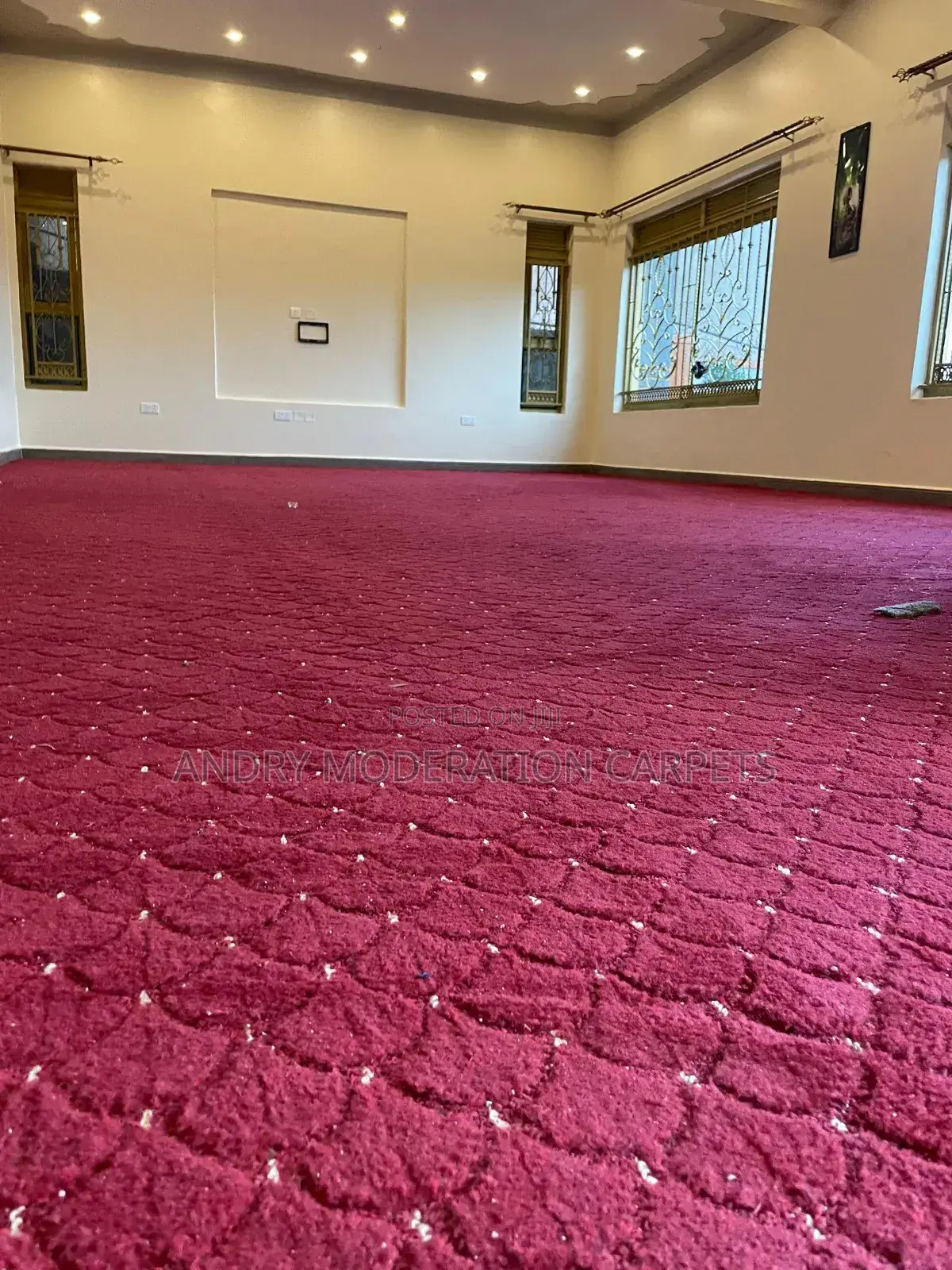 President Soft Galaxy Woolen Carpets