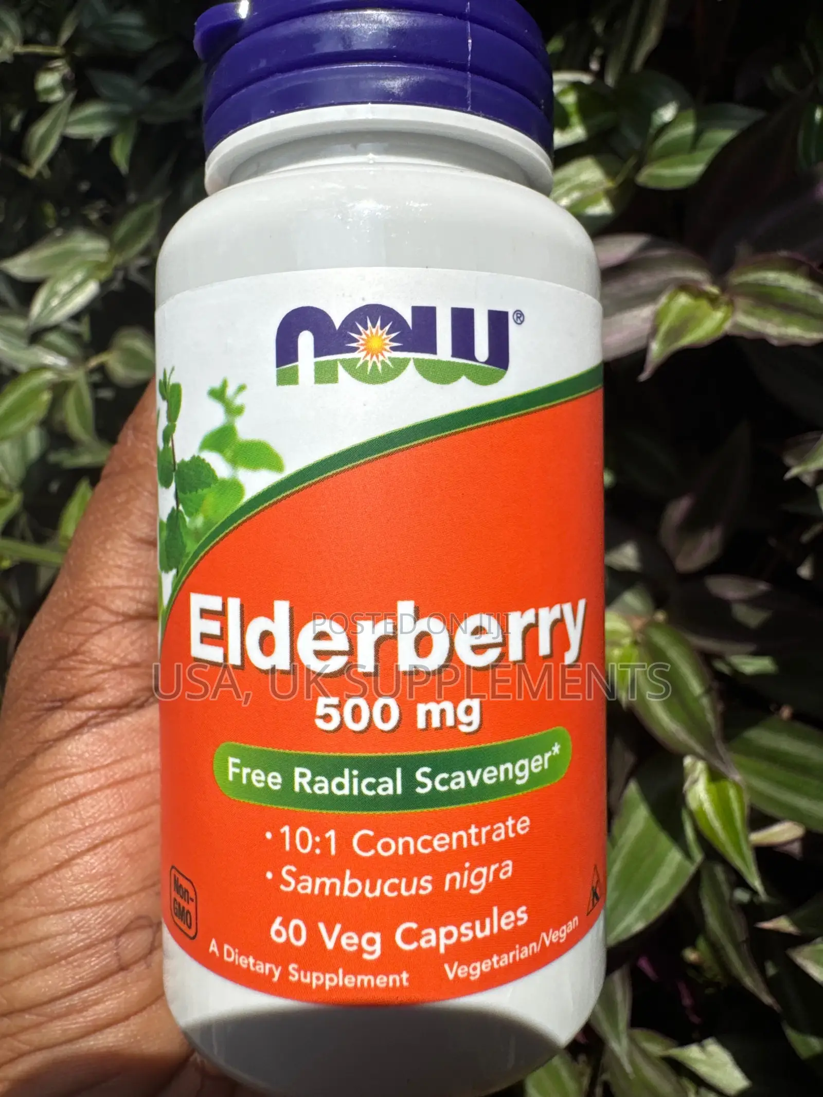 Now Elderberry 500mg 60capsules