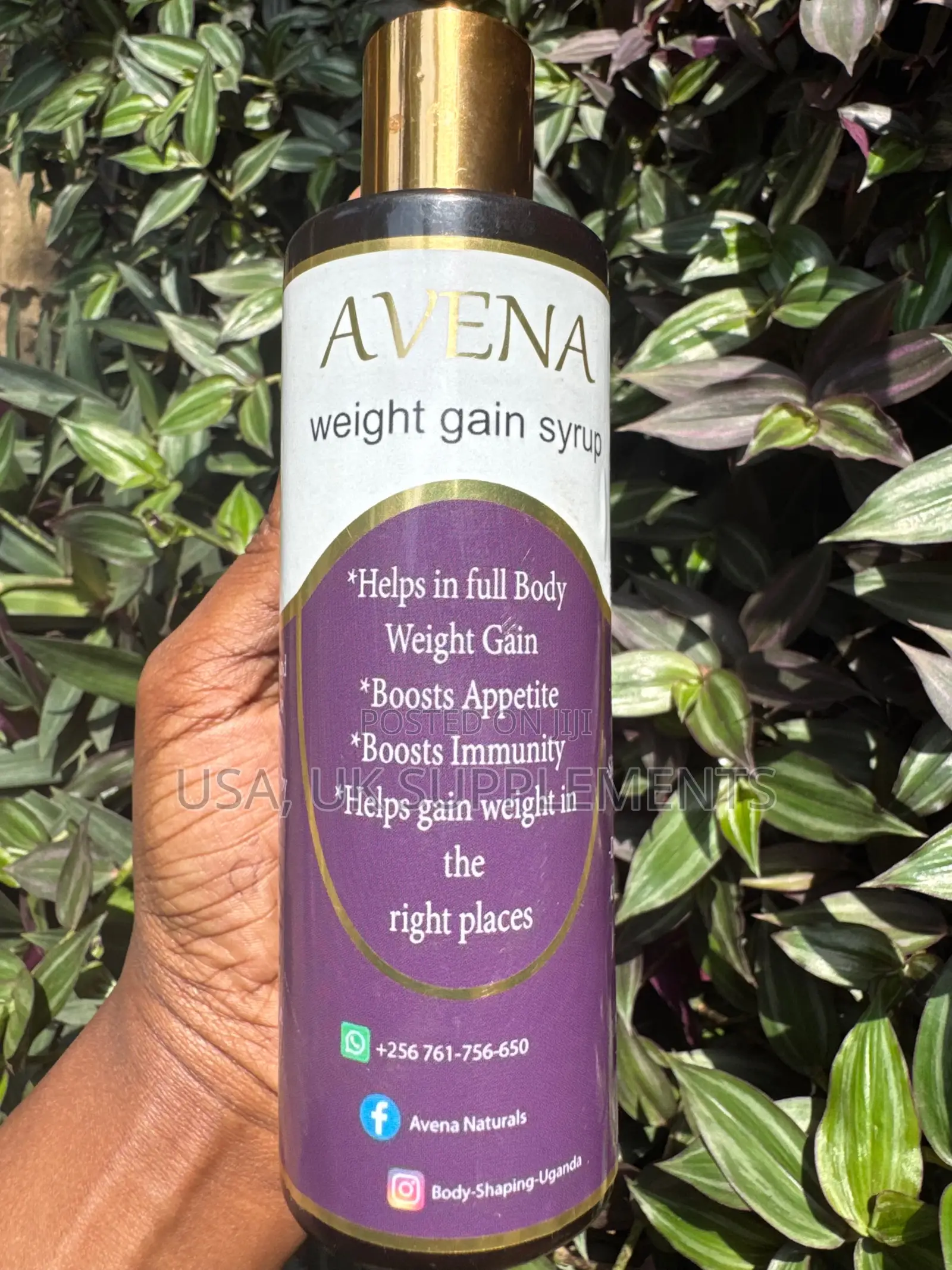 Avena Weight Gain Syrup