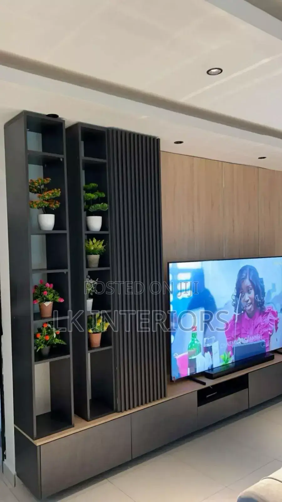 TV Wall Unit/TV Area