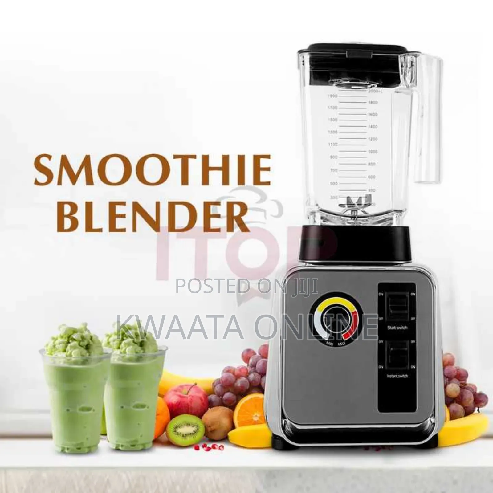 Hoffmans High Speed Full Nutritional Commercial Blender -2l