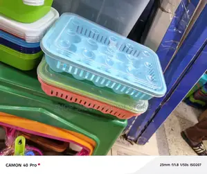 Plastic Storage Egg Trays With Trays