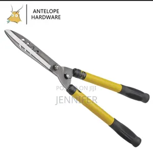 Pruning Scissors